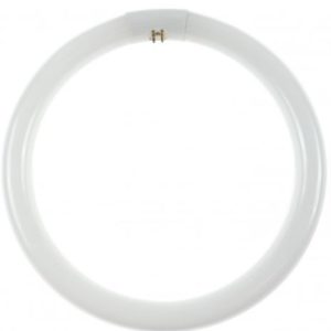 neon-circular